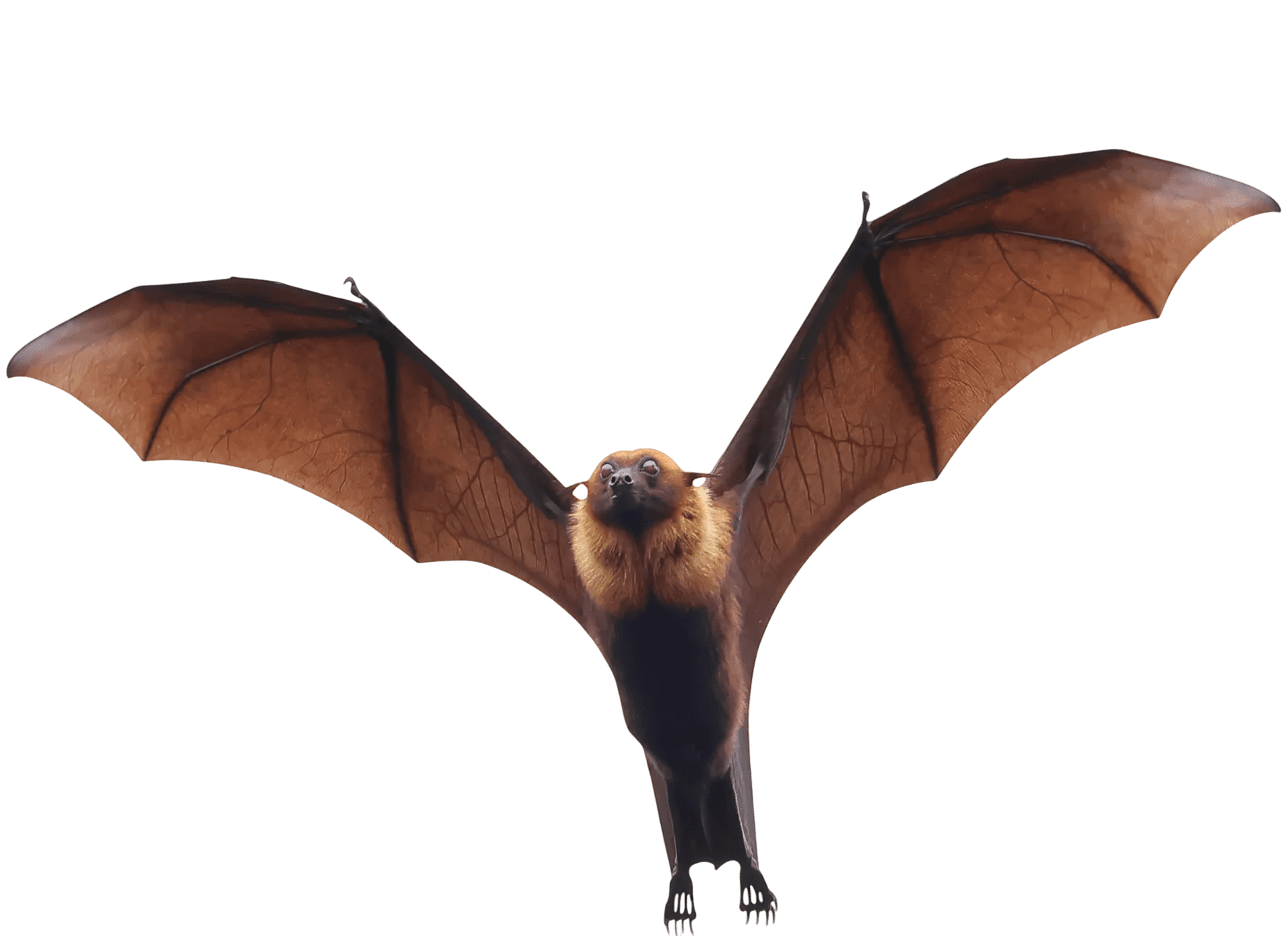 653a7e4c-f449-49d9-a424-6c34675b853c-image