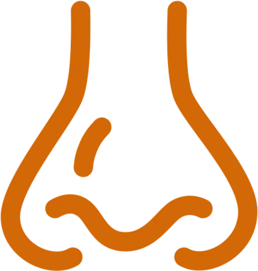 Content-Creator-Project (1)