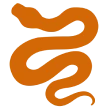 Curved orange serpent graphic